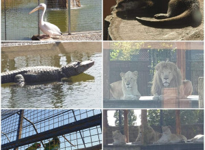 ZOO Borysew