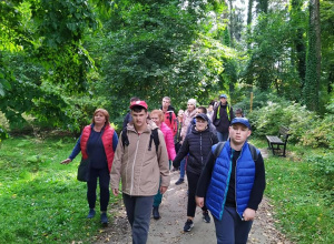 Wycieczka do Arboretum w Rogowie
