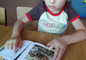 Chłopiec ogląda ilustracje w książce.